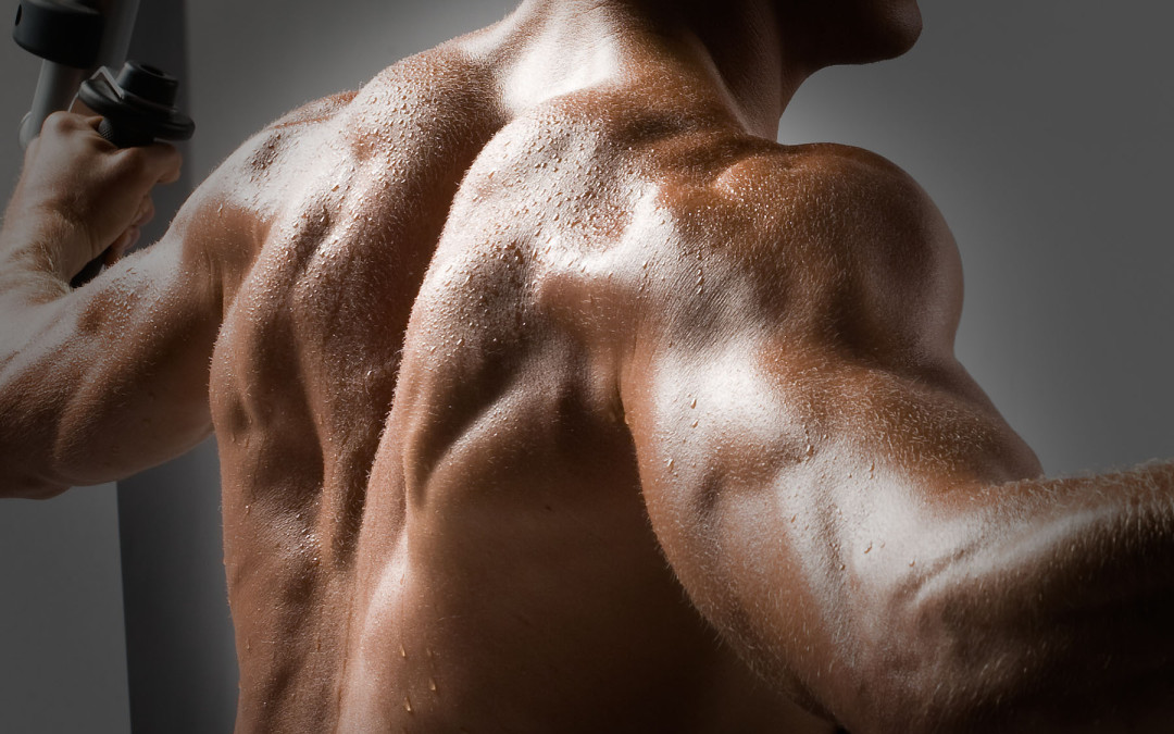 Shoulder trouble – Can our workout routine make that big of a difference?
