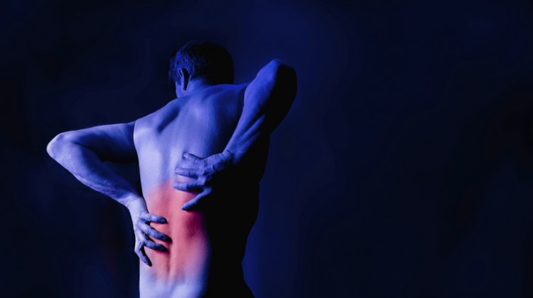 Help Clients Prevent Lower Back Pain Through Progamming.