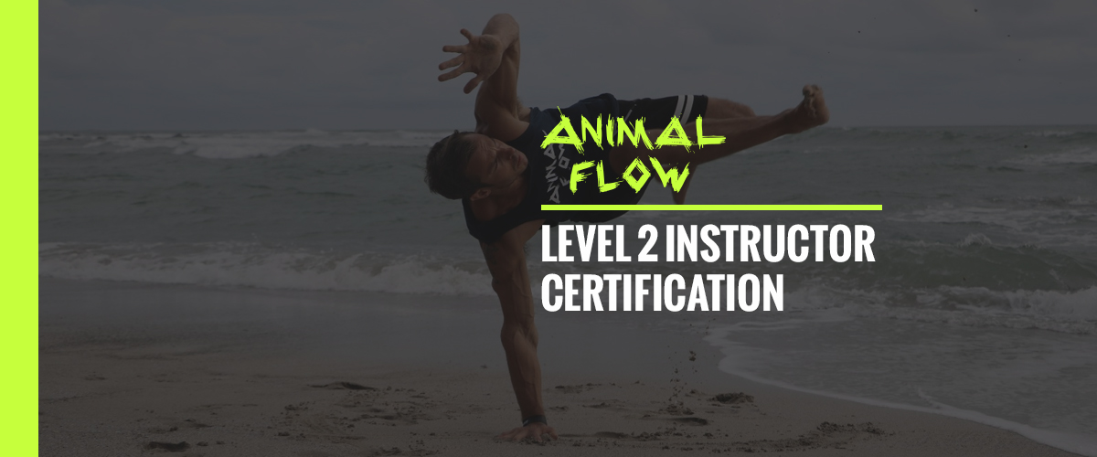 Animal Flow Level 2 Instructor Certification