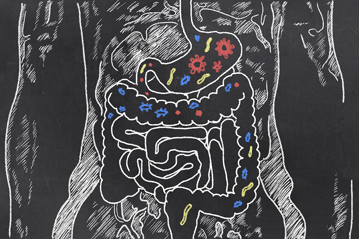 A GUT CHECK ON GUT HEALTH: WHAT YOU NEED TO KNOW: