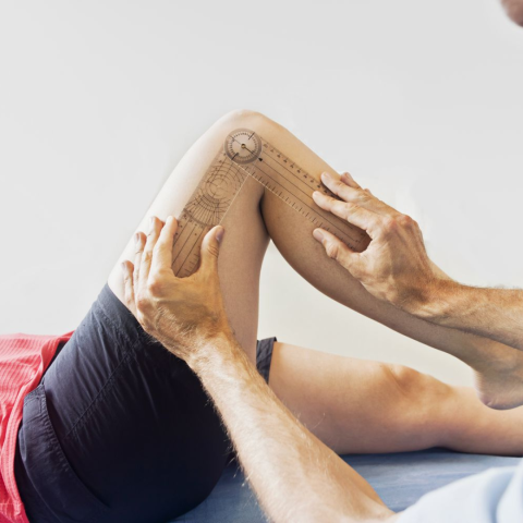 NASM Goniometric Assessment - OPS