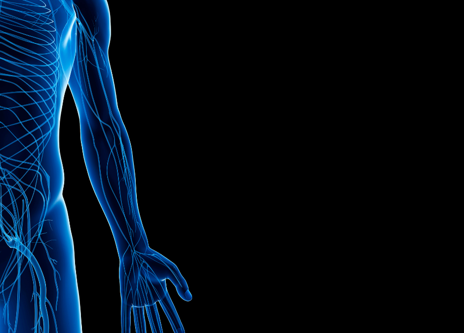 PODCAST: ABOUT THE NERVOUS SYSTEM: