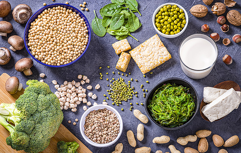 THE BEST PROTEIN SOURCES FOR VEGANS AND VEGETARIANS