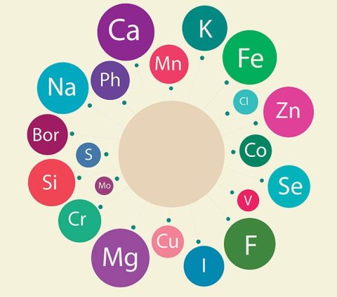 A GUIDE TO MICRONUTRIENTS: EXAMPLES, RECOMMENDATIONS, AND SOURCES - OPS