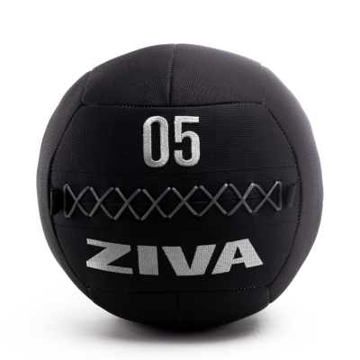 ZIVA-ZVO-Premium-Wall-Balls-1.png