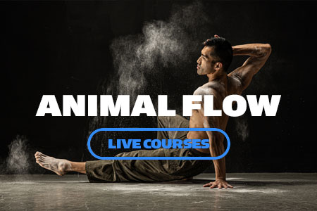 menu-animal-flow