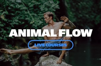 menu-home-animalflow-live