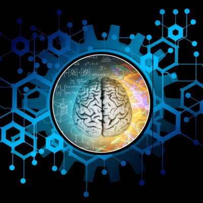 Lionel Behavioural Change Coaching Certification